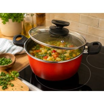 Vitrinor Sfumato Collection Stewpot 24 cm - тенджера със стъклен капак