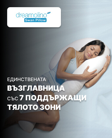Dreamolino Swanpillow Banner